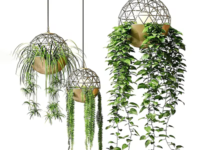 Spherical Hanging Planters with Lush Cascading Green Plant Vines for Indoor Spaces 3d model
