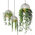 Modern hanging basket hanging orchid green plant 3d model