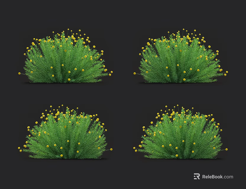 Vibrant Green Flowering Bushes with Small Yellow Blooms in Dense Clusters 3d model 