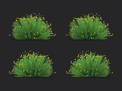 Vibrant Green Flowering Bushes with Small Yellow Blooms in Dense Clusters 3d model