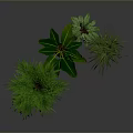 Various Green Indoor Plants In Metal Stand Pots For Modern Home Decor