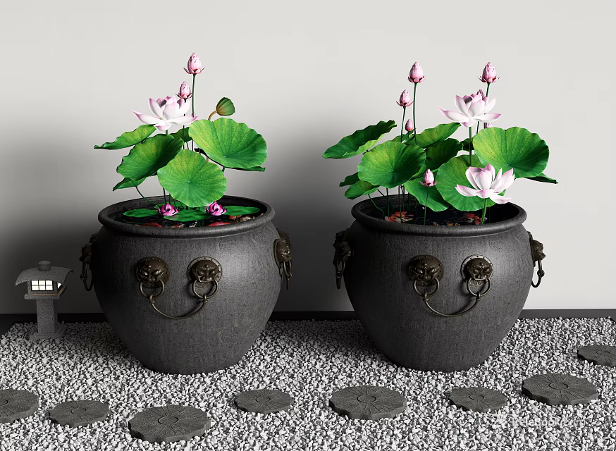 Decorative Aquarium Fish Tanks With Lotus Flowers Leaves And Small House Model On Pebble Floor 3d model 