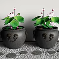 Decorative Aquarium Fish Tanks With Lotus Flowers Leaves And Small House Model On Pebble Floor