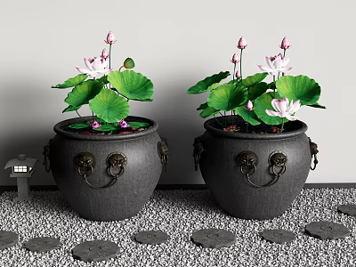 Decorative Aquarium Fish Tanks With Lotus Flowers Leaves And Small House Model On Pebble Floor 3d model