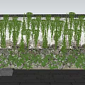 Vines Covering White And Stone Wall With Green Leaves Under Blue Sky And Clouds