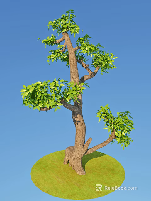 Lush Tree With Brown Trunk And Green Foliage Against Blue Sky And Green Grass 3d model