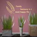 White Fluffy Grass Plants in Grey White and Brown Planters Against Pink Wall with Golden Leaf Art