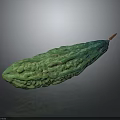 Fresh Green Bitter Melon With Rough Surface On Dark Background 3d model