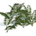 Bonsai Potted Plants Featuring Large Green Palm Like Leaves And Decorative Indoor Foliage