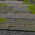Lush Plant Combinations Surrounding Irregular Stone Slabs with Green Shrubs and Pebbles