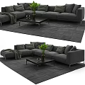 Gray Sectional Sofa With Cushions Throw Blanket Coffee Table And Green Plant Decorative Object 3d model