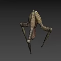 3D Rendered Biomechanical Creature With Segmented Body And Slender Legs