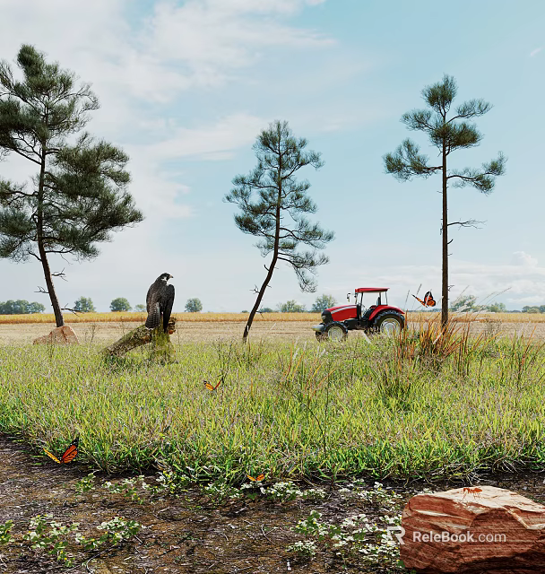 Vibrant Grassland Flowers And Wild Plants With Colorful Butterflies In Field Near Red Tractor 3d model 