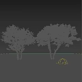 Cluster Trees Landscape Trees Park Trees Good Trees Small Trees 3d model