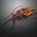 Orange and Black Striped Beetle With Long Antennae Large Mandibles and Distinctive Exoskeleton
