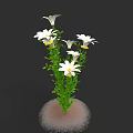 Detailed Plant Painting With White Flowers Green Stems And White Base