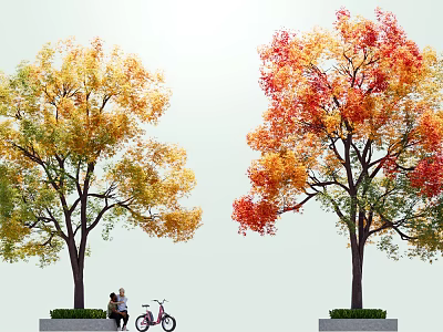 Two People Sitting Under Colorful Trees With Pink Bicycle And Yellow Green Red Leaves 3d model