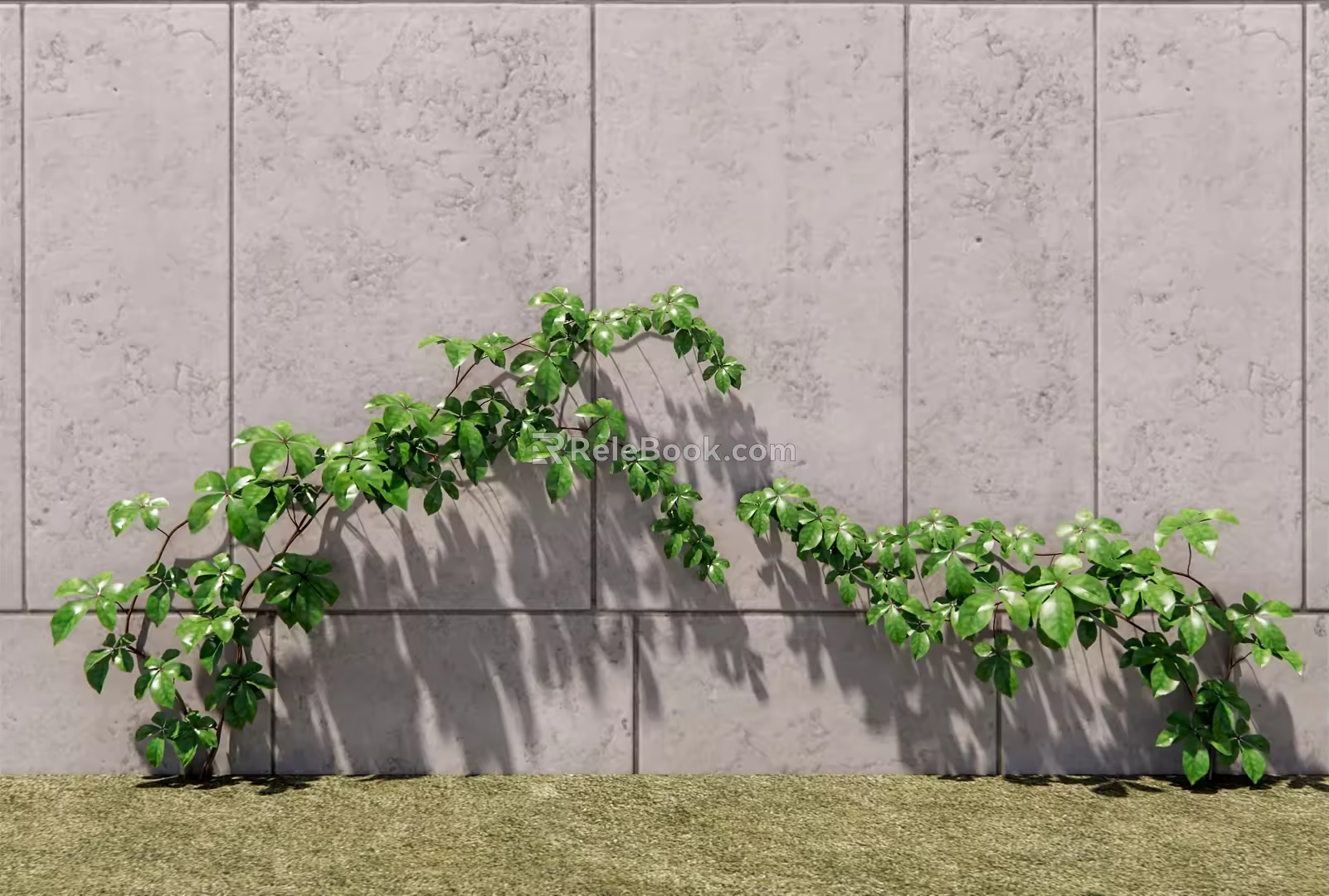 Modern Parthenocissus Landscape Tree 3d model