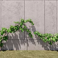 Modern Parthenocissus Landscape Tree 3d model