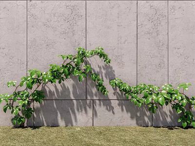 Green Leafy Vine Climbing On Gray Concrete Wall With Grass Ground 3d model