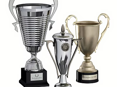 Elegant Decorative Trophy Set With Silver Gold Metal Design And Black Bases 3d model