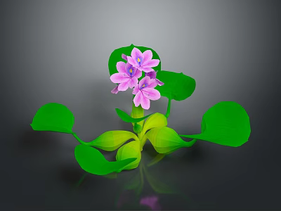 Vibrant Plant With Green Leaves And Purple Flowers On Dark Background With Reflection 3d model