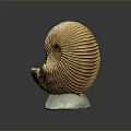 Chi chrysanthemum stone ancient fossil stone chrysanthemum fossil items 3d model
