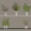 Transparent Glass Vases With Green Plants And Branches On Light Shelves Against Beige Wall