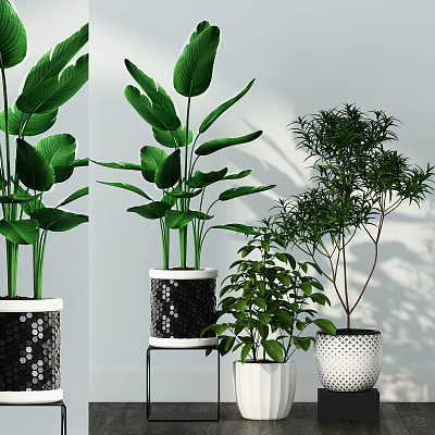 Stylish Indoor Potted Plants With Green Leaves And Decorative Pots On Stands 3d model