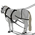 White Horse Adorned With Black And Gold Harness Standing Tall