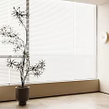 Modern venetian blinds potted plants 3d model