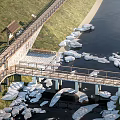 Bridge 3d model