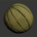 Healthy Fresh Ripe Cantaloupe Melon With Yellow Green Striped Textured Skin