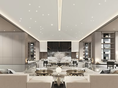 Elegant Modern Lounge Area With Sofas Coffee Tables Bookshelves And Ceiling Star Lights 3d model