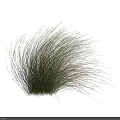 Three Isolated Feathery Green Grass Clumps with Natural Texture on White Background