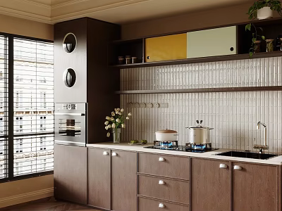 Modern Kitchen Cookware With Dark Cabinets Tile Backsplash Countertop Pots And Plants 3d model