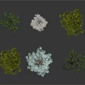 Various Types of Green and White Trees with Diverse Shapes on Grey Background