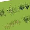 Decorative Outdoor Lights For Garden Lawn Grass And Green Plants Illumination