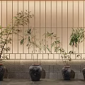 Bamboo Bonsai Plants Of Various Heights In Dark Ceramic Pots Against Vertical Striped Wall