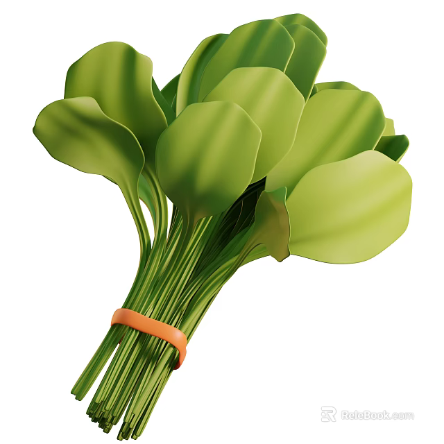 Bunch of Fresh Green Leafy Vegetables Bundled with Orange Rubber Band 3d model 