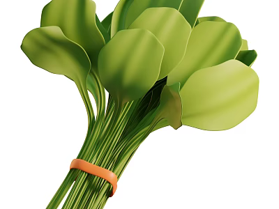 Bunch of Fresh Green Leafy Vegetables Bundled with Orange Rubber Band 3d model