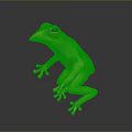 Realistic Vibrant Green Frog With Large Eyes In Sitting Pose On Black Surface