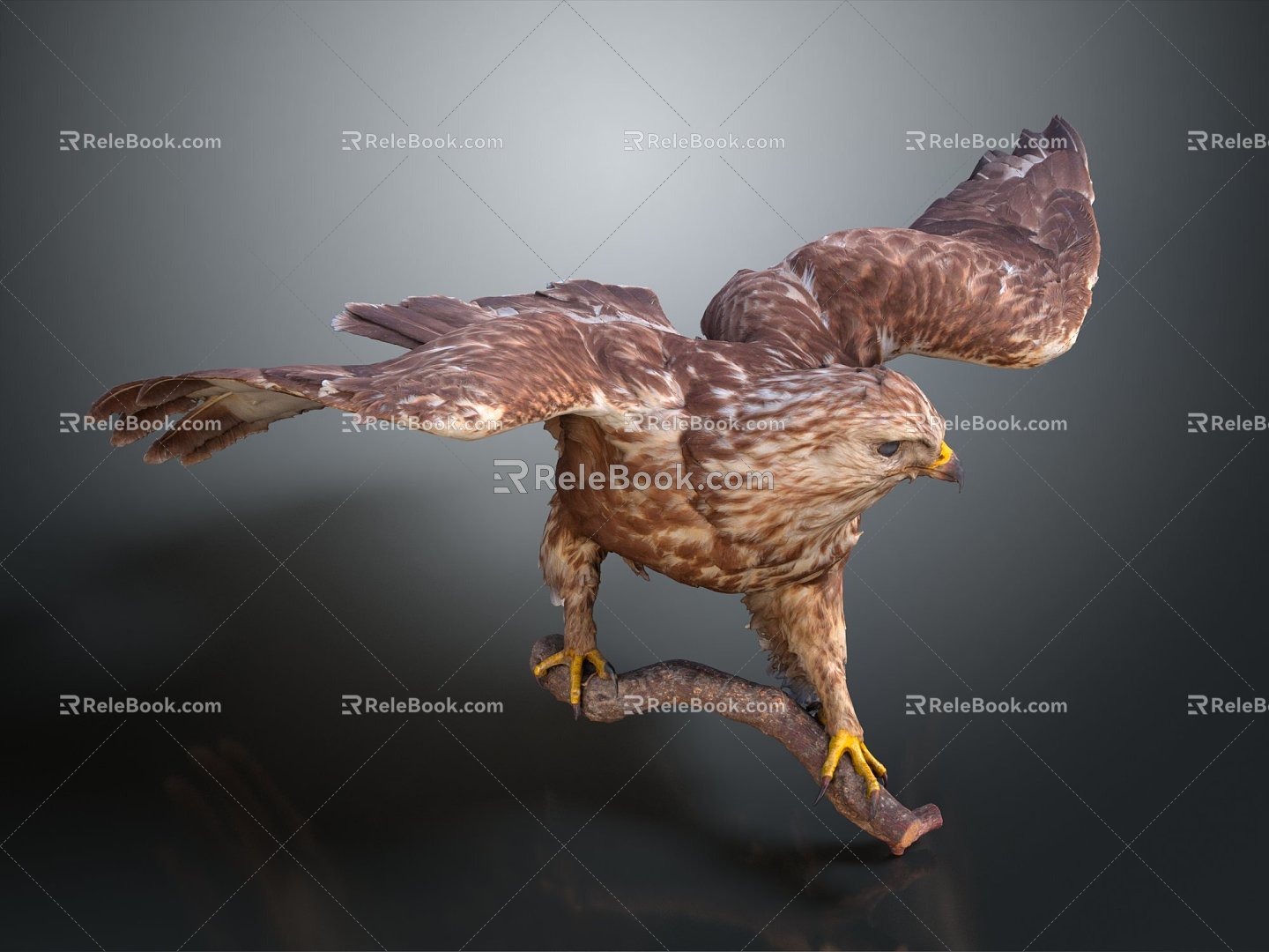 Modern Eagle Large Eagle Raptor 3d model