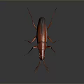 3D Rendered Shiny Red Beetle With Long Antennae And Legs On Dark Background