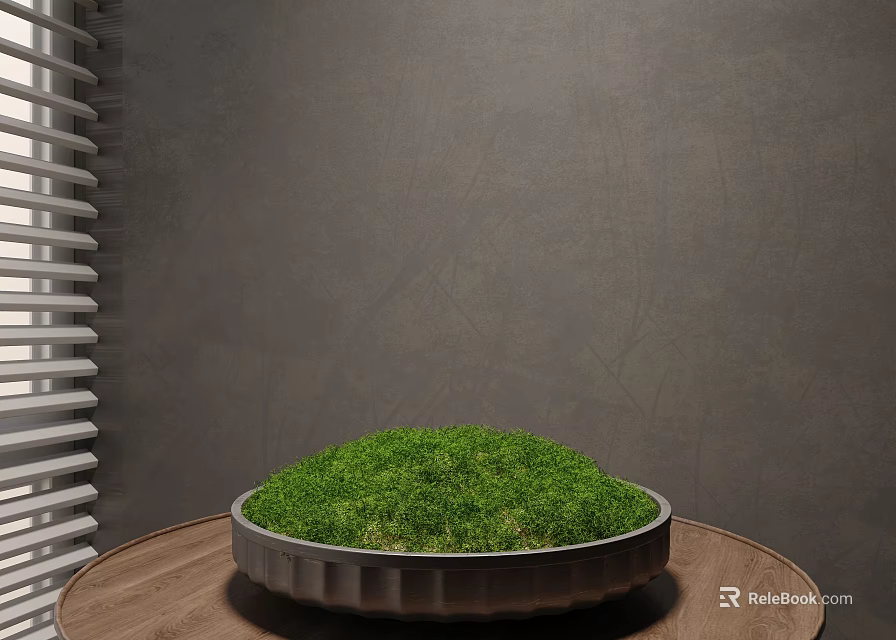 Lush Green Moss in Circular Container on Wooden Table Against Gray Wall with Window Blinds 3d model 