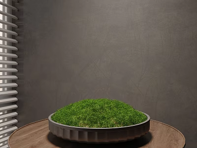 Lush Green Moss in Circular Container on Wooden Table Against Gray Wall with Window Blinds 3d model
