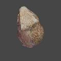 Hand Carved Wooden Beaver Sculpture With Detailed Craftsmanship And Natural Texture