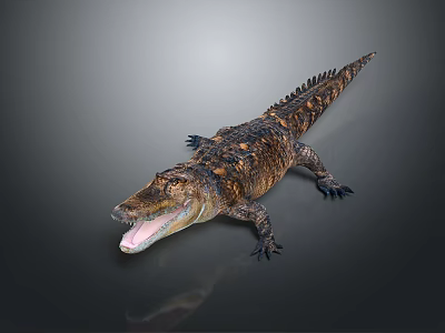 Crocodile Reptile With Open Mouth Scaly Skin Texture On Gray Background Reflection 3d model