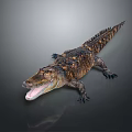Crocodile Alligator Nile Crocodile carnivore reptile cold-blooded animal reptile 3d model