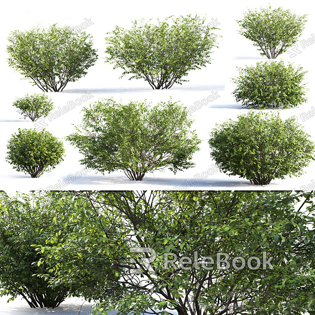 modern shrub hedgerow model